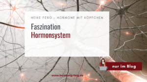 Mehr über den Artikel erfahren Faszination Hormonsystem