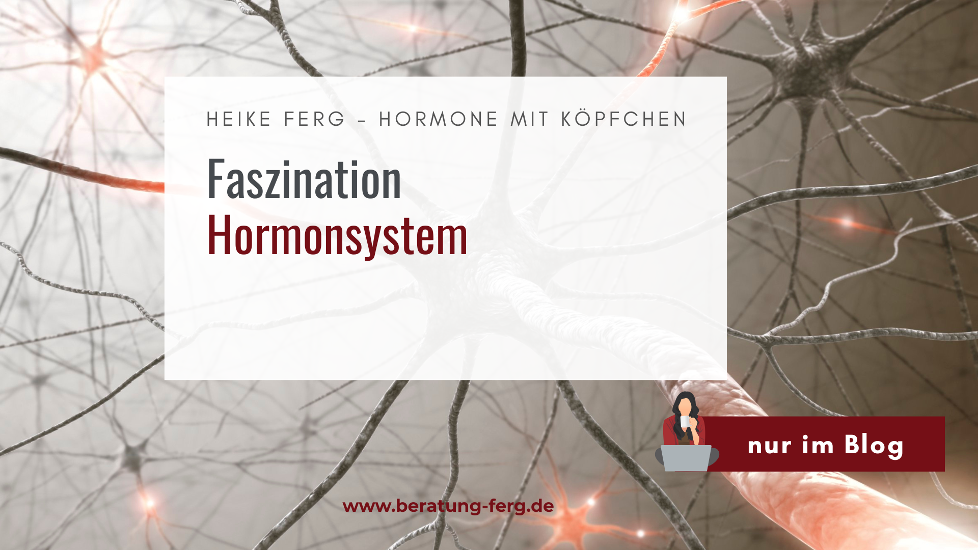 Du betrachtest gerade <h1 class="entry-title">Faszination Hormonsystem</h1>