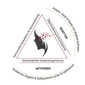 Hormoncoach Ferg erklärt Phase 2 Wechseljahre – Symptome & Tipps