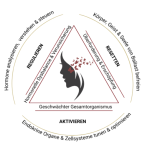 Hormoncoach Ferg erklärt Phase 3 Wechseljahre – Symptome & Tipps