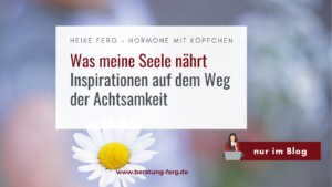 Mehr über den Artikel erfahren Was meine Seele nährt – Inspirationen auf dem Weg der Achtsamkeit