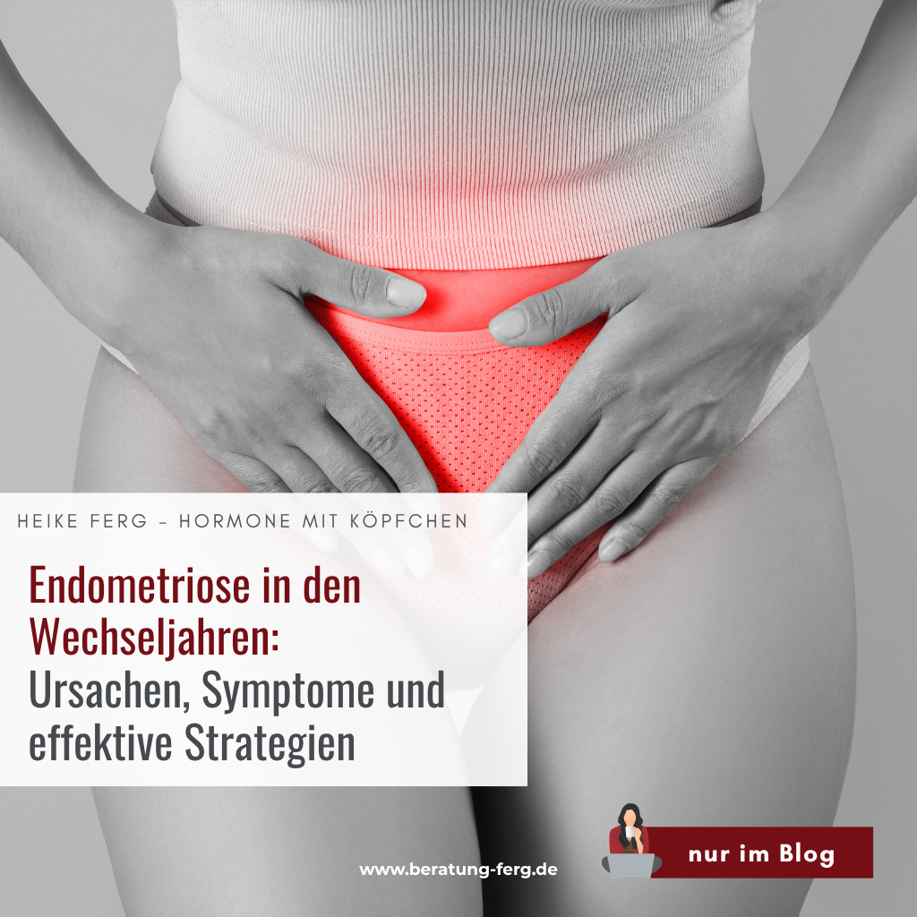 Mehr über den Artikel erfahren Endometriose in den Wechseljahren: Ursachen, Symptome und effektive Strategien zur Linderung