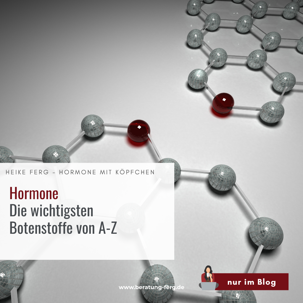 Mehr über den Artikel erfahren Hormone – Die wichtigsten Botenstoffe von A-Z für dich gelistet