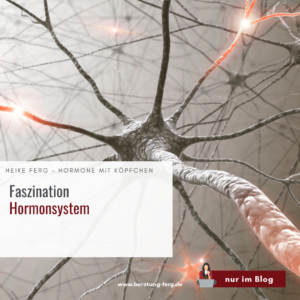 Mehr über den Artikel erfahren Faszination Hormonsystem