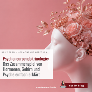 Mehr über den Artikel erfahren Psychoneuroendokrinologie: Das Zusammenspiel von Hormonen, Gehirn und Psyche einfach erklärt