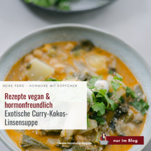 Mehr über den Artikel erfahren Exotische Curry-Kokos-Linsensuppe