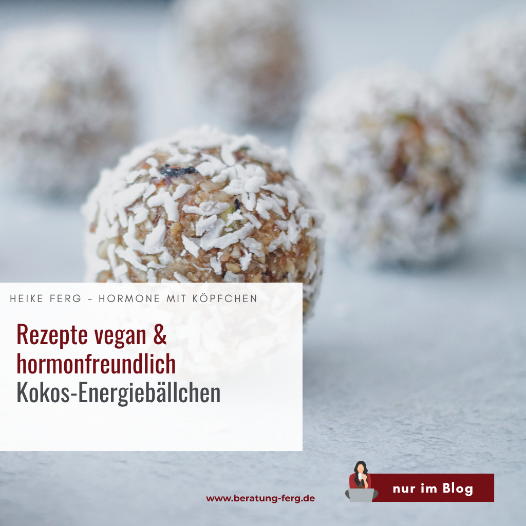 Mehr über den Artikel erfahren Kokos-Energiebällchen für unterwegs