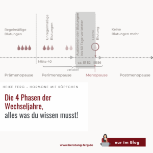 Mehr über den Artikel erfahren Die 4 Phasen der Wechseljahre, alles was du wissen musst!