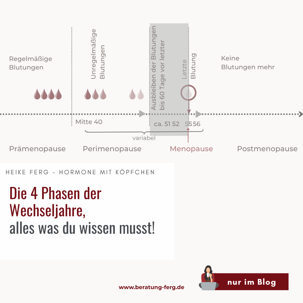 Mehr über den Artikel erfahren Die 4 Phasen der Wechseljahre, alles was du wissen musst!