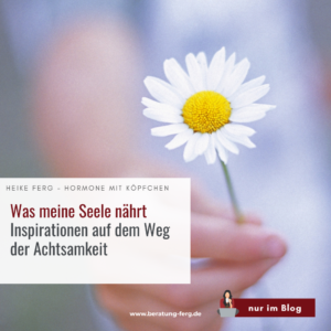 Mehr über den Artikel erfahren Was meine Seele nährt – Inspirationen auf dem Weg der Achtsamkeit